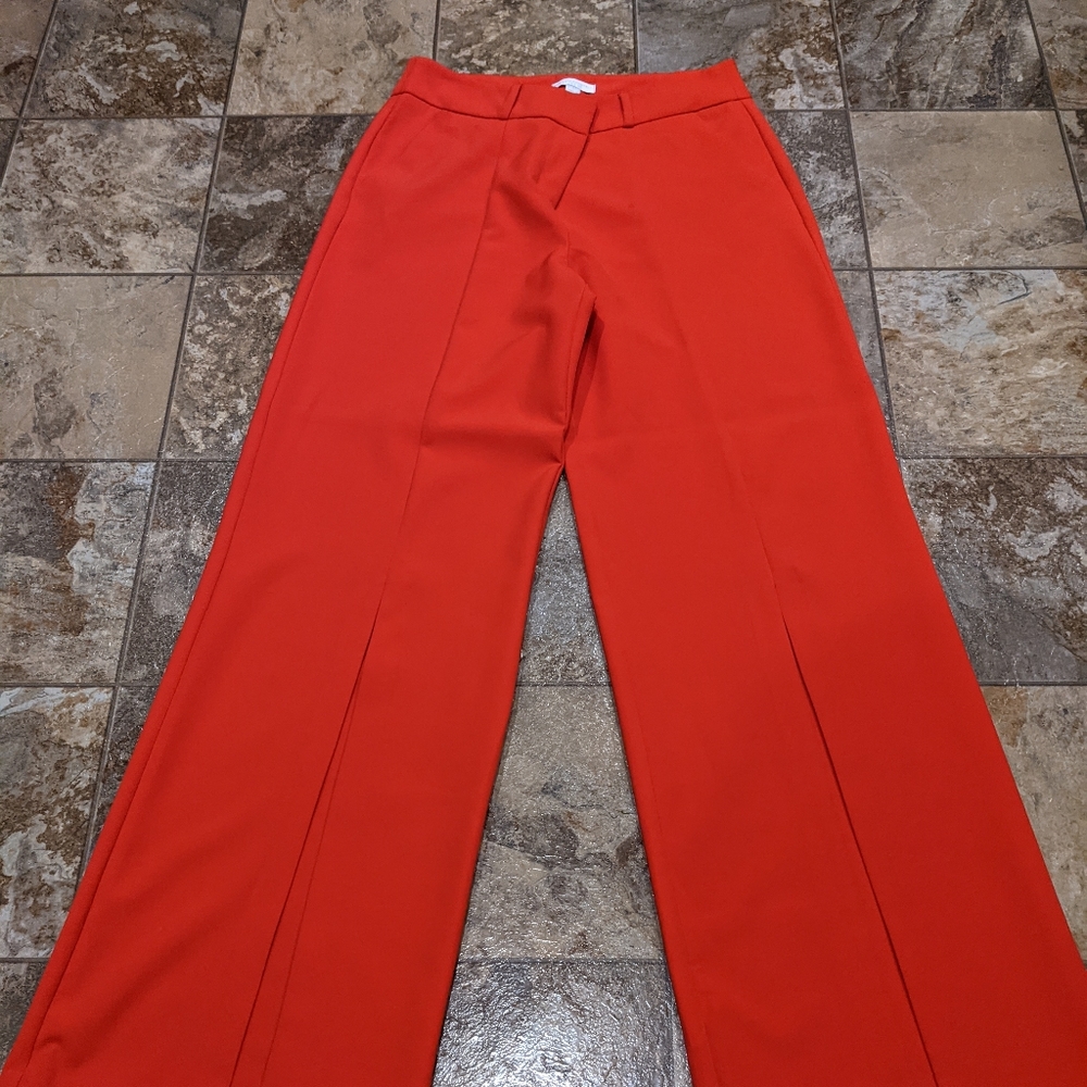 Palazzo pants